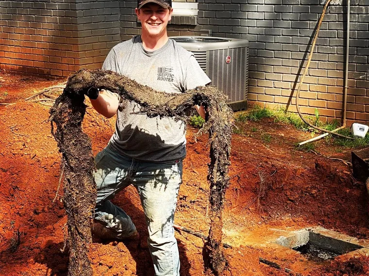 SepticRooter crew member holding a large root mass pulled from a line